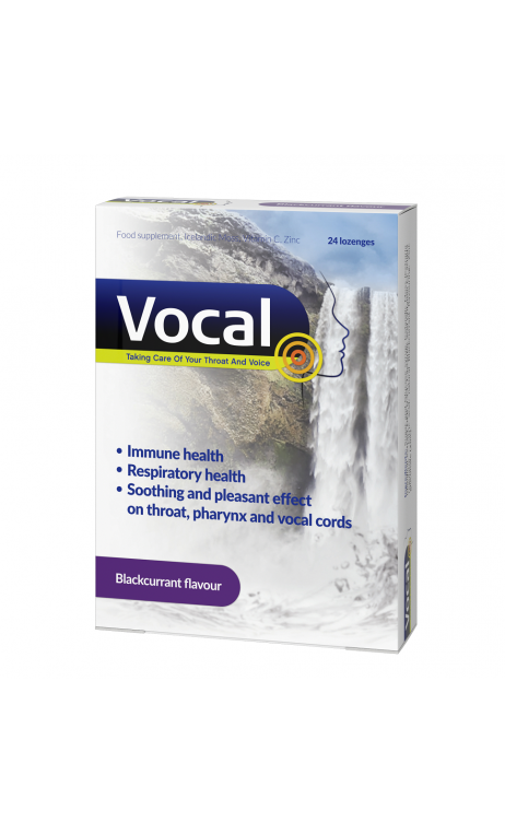VOCAL czarna porzeczka 24 pastylki do ssania twarde VOCAL czarna porzeczka 24 pastylki do ssania twarde